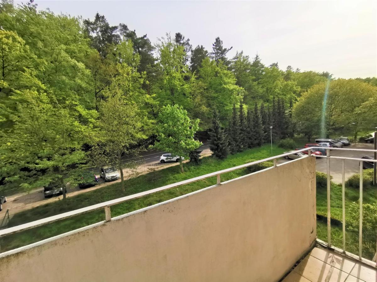 Euro24 Tulipan - Kolberga Sopot